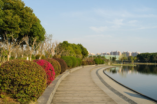 春天 夏阳湖