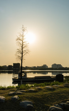 逆光夏阳湖