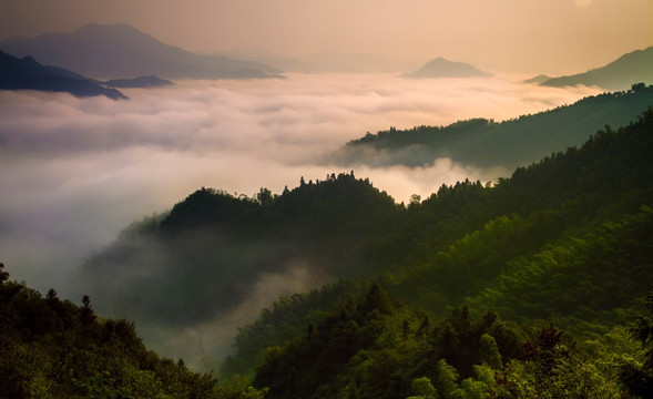 汪家冲云海