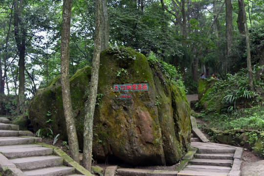 地震遗石景观