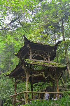 青城山雨亭