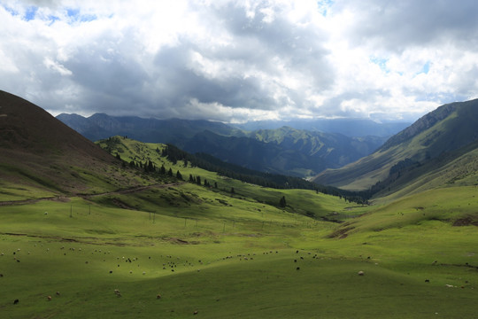 新疆 乌孙山 风光 风景