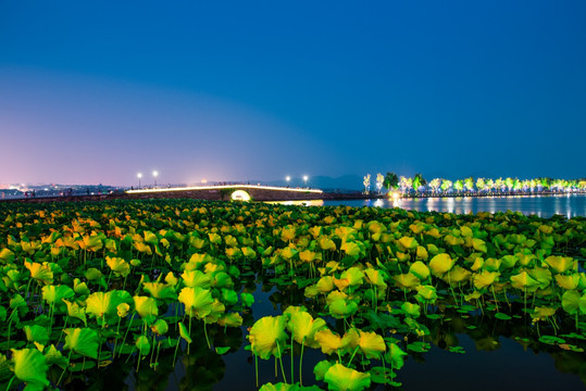 杭州西湖断桥夜景