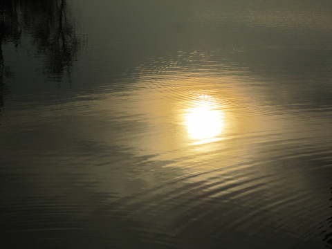 水中的太阳