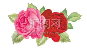 玫瑰花