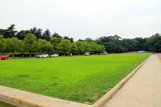 雨花台 草坪