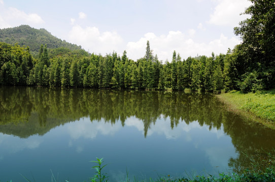 大夫山森林公园 湖面