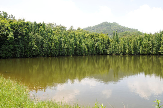 大夫山森林公园 湖面