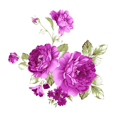 牡丹花（無分層）
