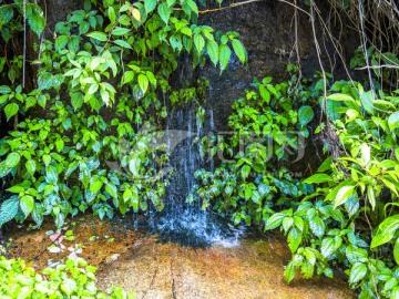 潺潺流水