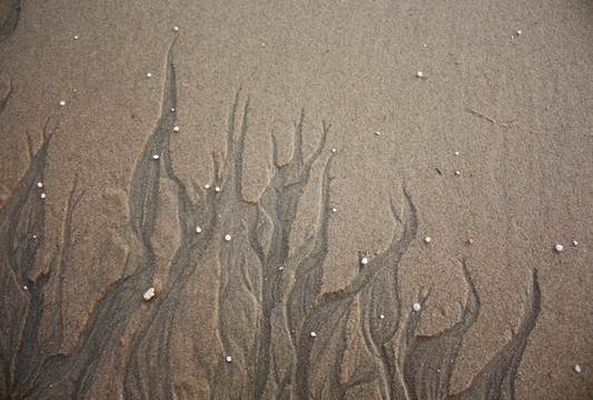 沙滩花纹