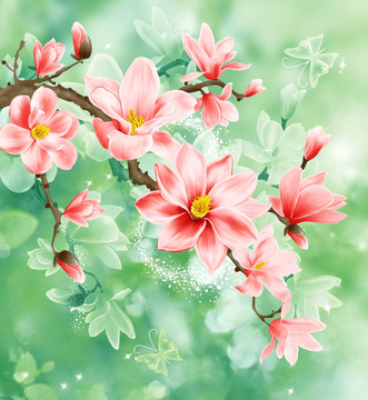 玉蘭花