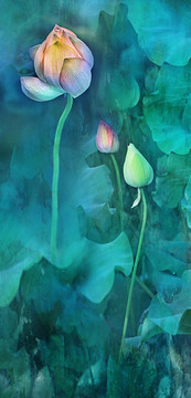 荷花（合層）