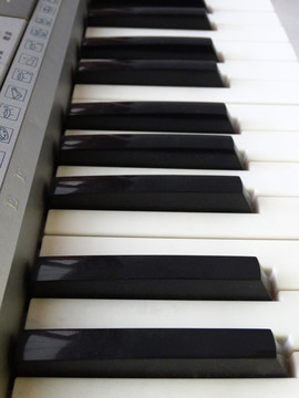 电子琴黑白键盘