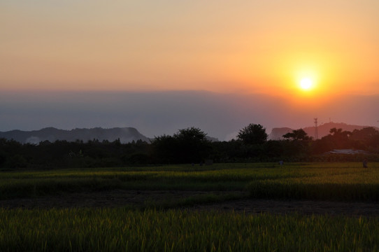 夕阳