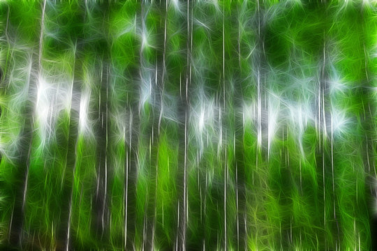 電腦畫 夢(mèng)幻樹(shù)影