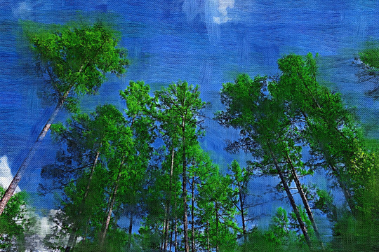 電腦畫(huà) 油畫(huà)松林