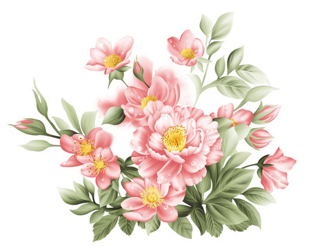 好看手繪寫(xiě)實(shí)花卉
