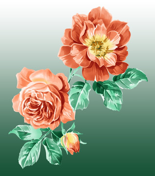 花（去底分層）