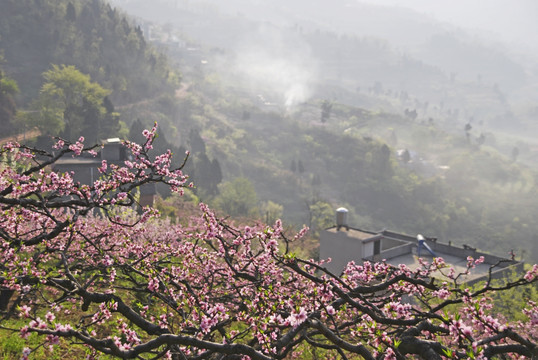 桃花故里