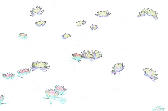 藝術(shù)花卉 睡蓮