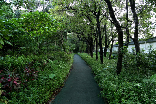 城市綠道