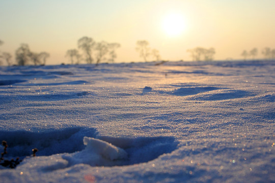 雪