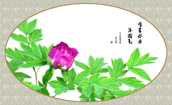 畫意牡丹 畫意攝影 裝飾畫