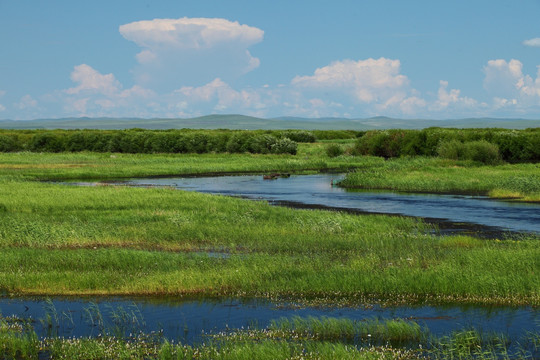 湿地