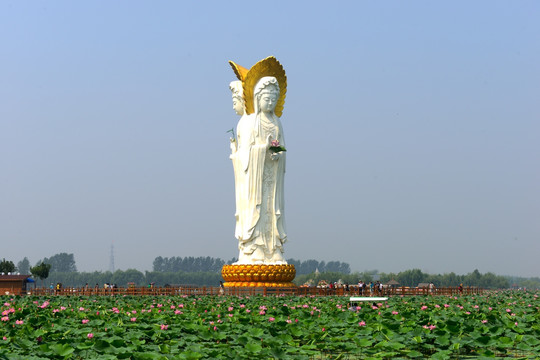 白洋淀荷花大观园三面观音像