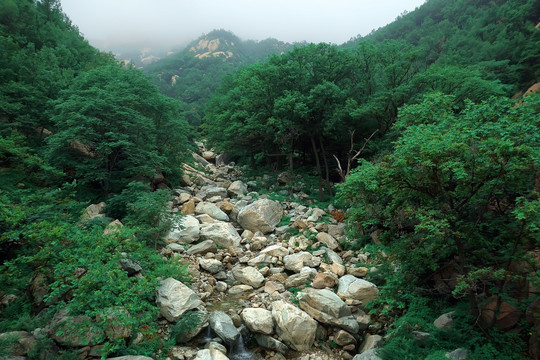 泰山风光