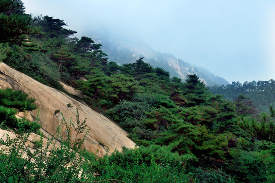 泰山风光