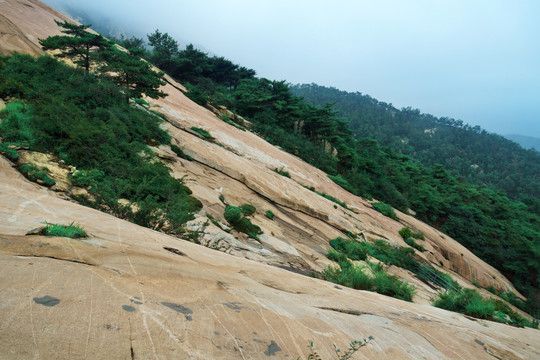 泰山风光