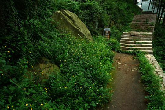 泰山风光