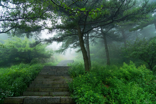 泰山盘道