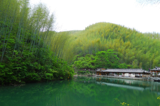 木坑竹海