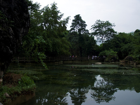 天星桥水塘