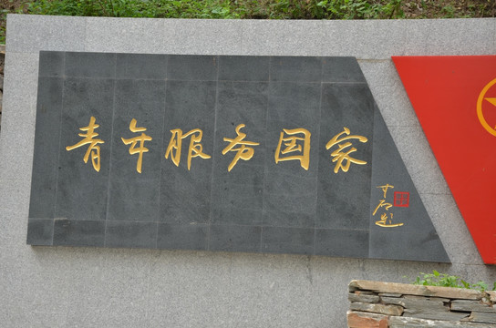 青年服務(wù)國家