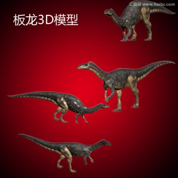 板龙3D模型