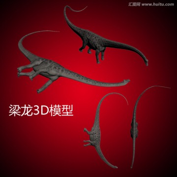 梁龍3D模型
