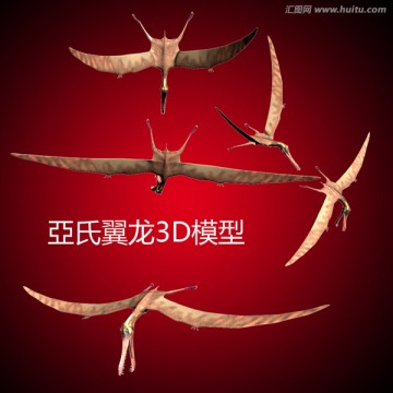 亞氏翼龍3D模型