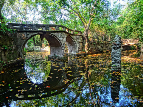 榕湖晨景