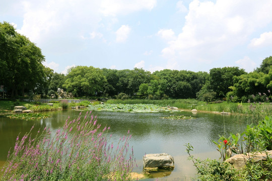 磨山风景图片