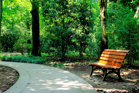 公园长椅 林中小路
