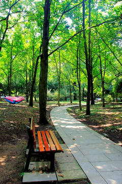 公园长椅 吊床 树林