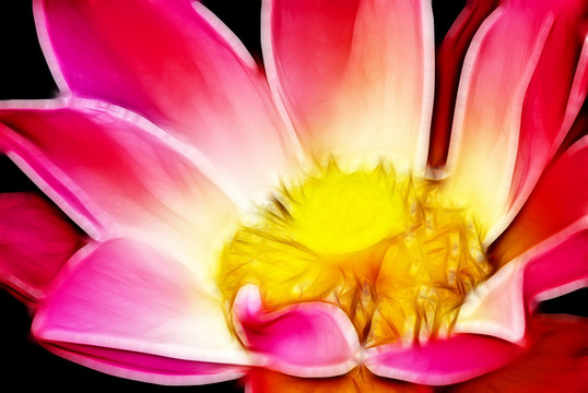 裝飾畫(huà) 荷花