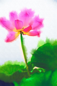 無框畫 蓮花 抽象畫（未分層）
