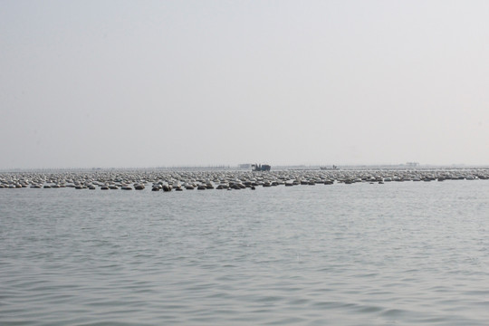 渔船 渔业 海洋 养殖场 竹排