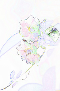 电脑绘画 海棠花