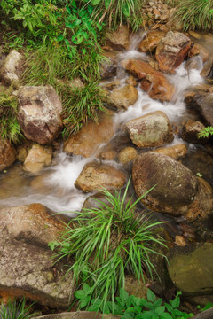 青草山石中湍流的泉水